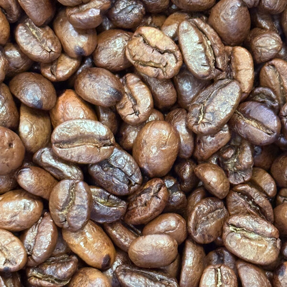 Autumn Roast Coffee Beans