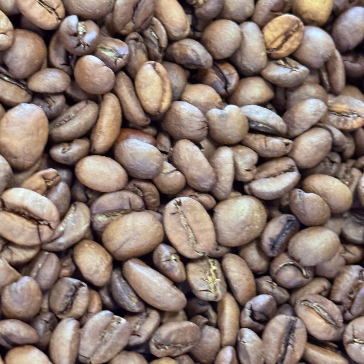 Candy Cane Coffee Beans