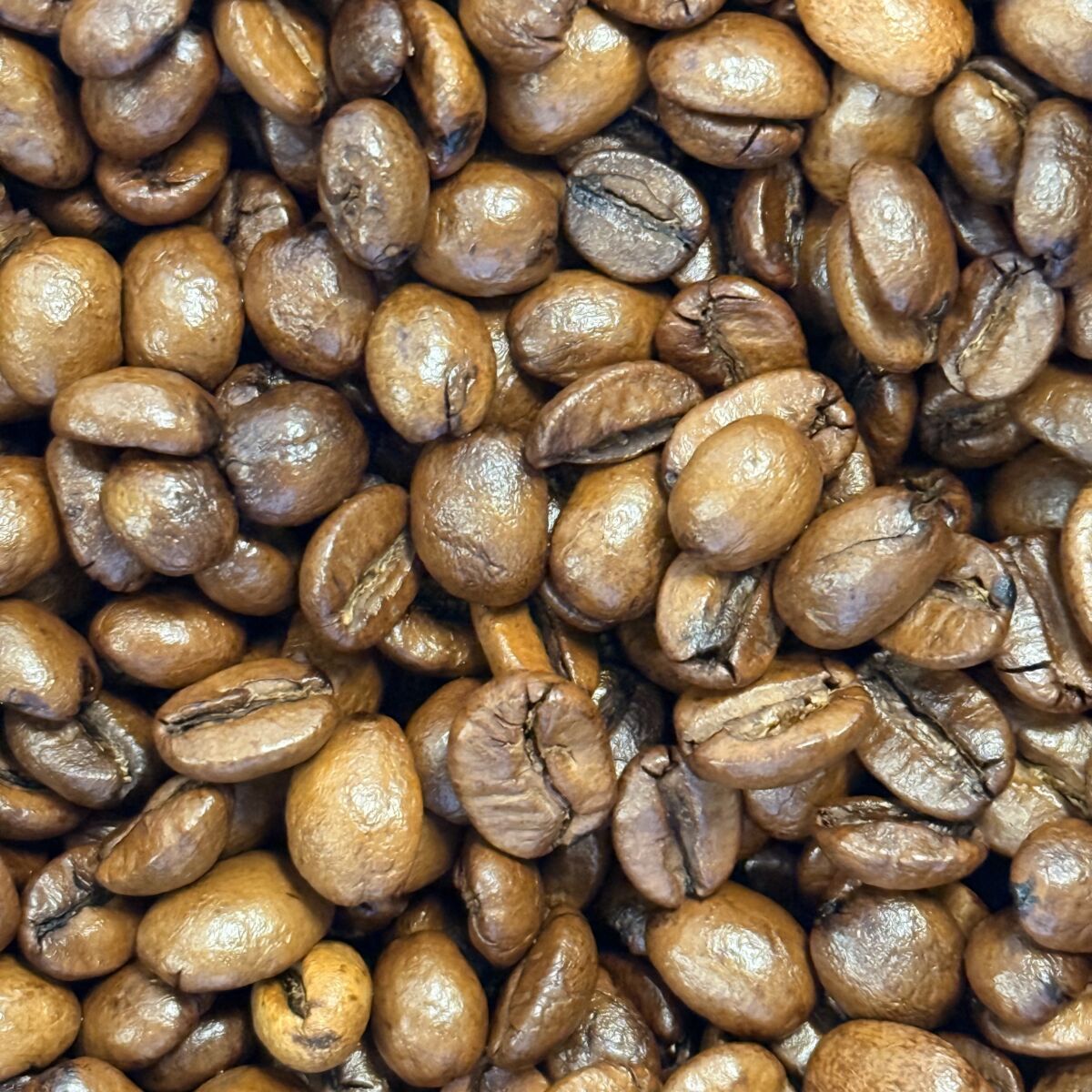 Santas Java Coffee Beans