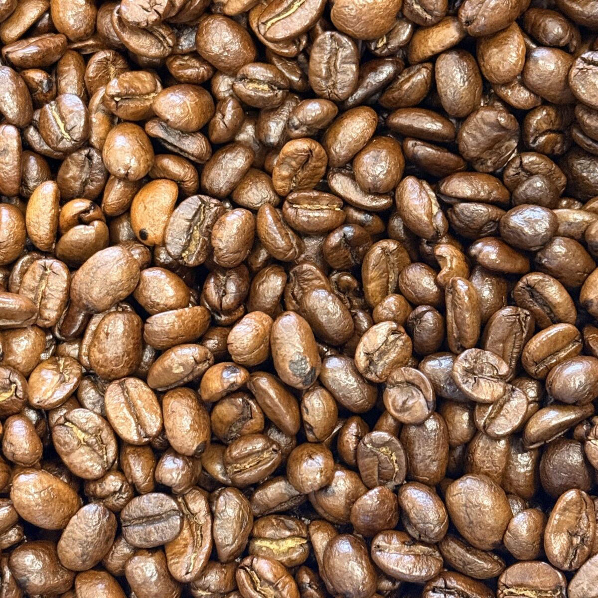 Tiramisu Coffee Beans
